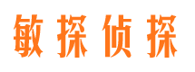 绥中侦探公司